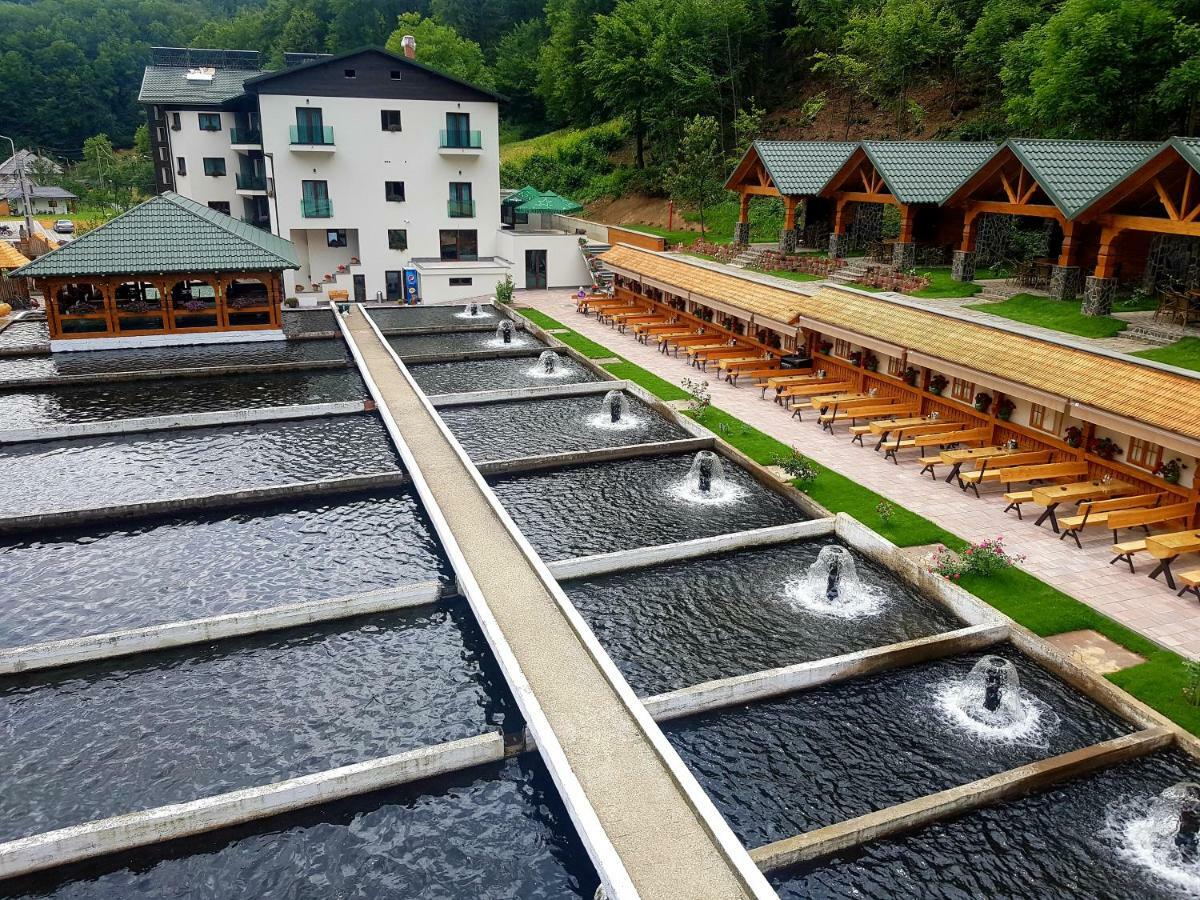 Lostrita - Pastravarie, Hotel & Spa Baia Mare Ngoại thất bức ảnh